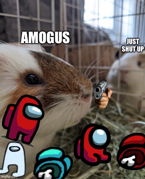 NO MORE AMOGUS | JUST SHUT UP; AMOGUS | image tagged in two guinea pigs | made w/ Imgflip meme maker