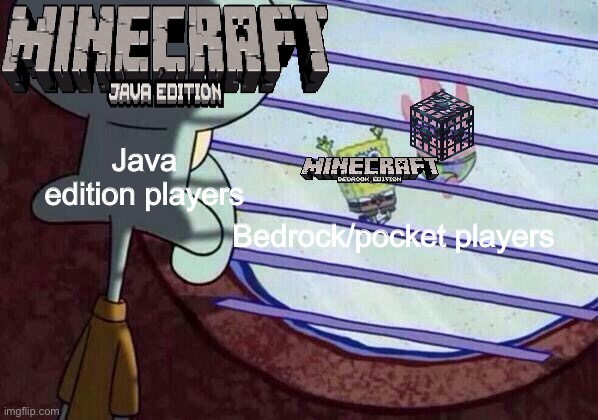 Squidward window | Java edition players; Bedrock/pocket players | image tagged in squidward window | made w/ Imgflip meme maker