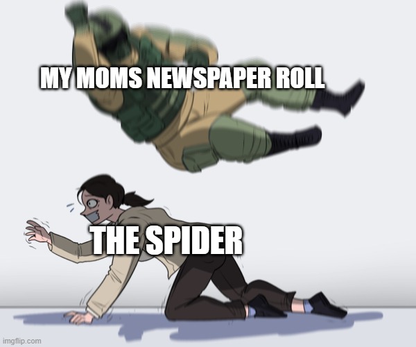 Rainbow Six - Fuze The Hostage | MY MOMS NEWSPAPER ROLL; THE SPIDER | image tagged in rainbow six - fuze the hostage | made w/ Imgflip meme maker