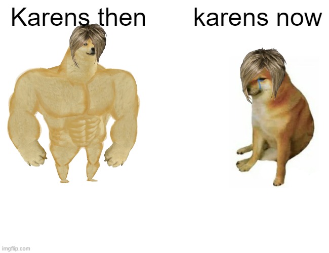 Buff Doge vs. Cheems Meme | Karens then; karens now | image tagged in memes,buff doge vs cheems | made w/ Imgflip meme maker