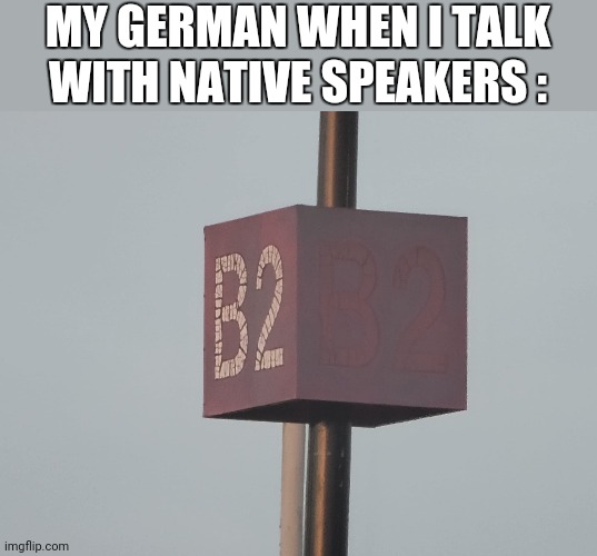 German language meme | MY GERMAN WHEN I TALK WITH NATIVE SPEAKERS : | image tagged in language,german | made w/ Imgflip meme maker