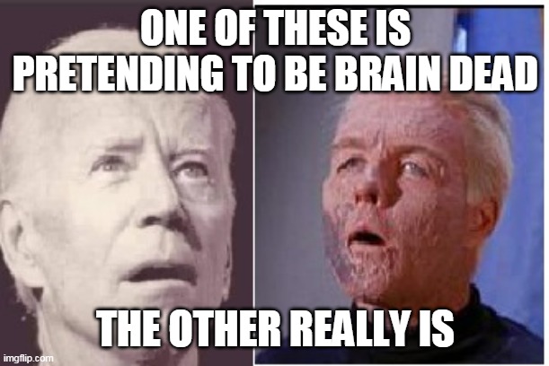 Brain dead Biden | ONE OF THESE IS PRETENDING TO BE BRAIN DEAD; THE OTHER REALLY IS | image tagged in sad joe biden,creepy joe biden | made w/ Imgflip meme maker