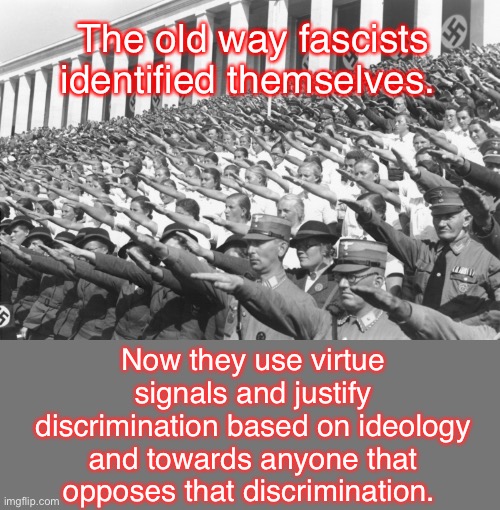 Nothing really changes | The old way fascists identified themselves. Now they use virtue signals and justify discrimination based on ideology and towards anyone that opposes that discrimination. | image tagged in nazis salute lots,memes,politics suck,progressives,leftists | made w/ Imgflip meme maker