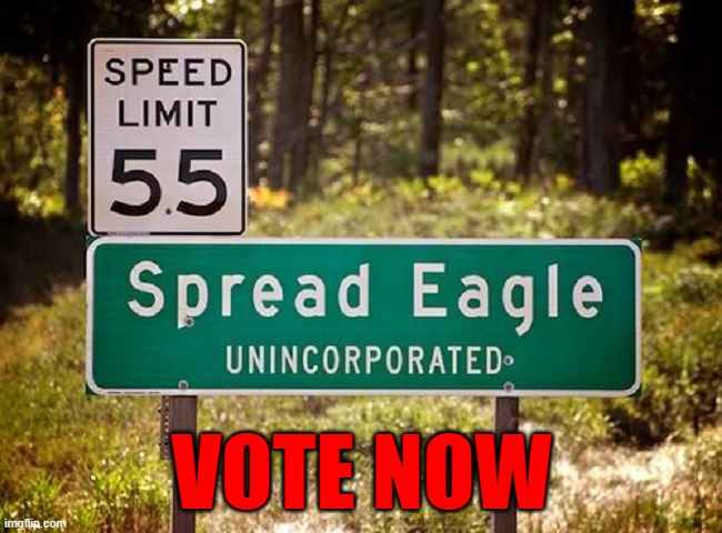 Spread Eagle, AL | VOTE NOW | image tagged in spread eagle al | made w/ Imgflip meme maker