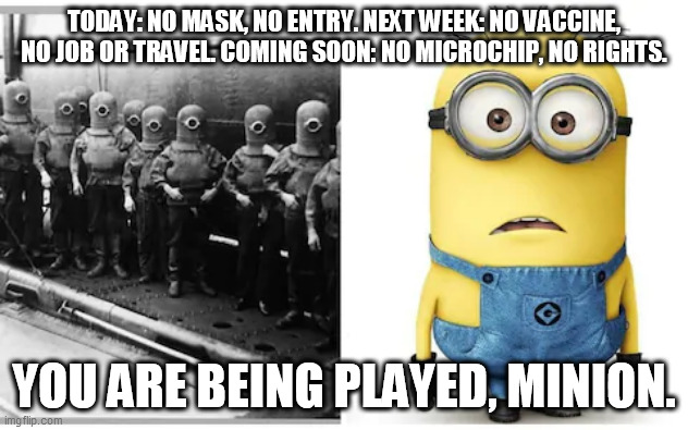 When will they ever learn | TODAY: NO MASK, NO ENTRY. NEXT WEEK: NO VACCINE, NO JOB OR TRAVEL. COMING SOON: NO MICROCHIP, NO RIGHTS. YOU ARE BEING PLAYED, MINION. | image tagged in funny,memes,minions | made w/ Imgflip meme maker