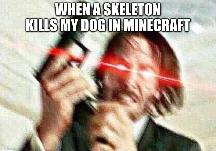 this happened to me before | WHEN A SKELETON KILLS MY DOG IN MINECRAFT | image tagged in john wick | made w/ Imgflip meme maker