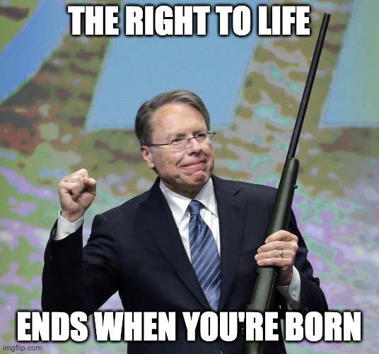 Pro-life Pro-gun | THE RIGHT TO LIFE; ENDS WHEN YOU'RE BORN | image tagged in nra patsey | made w/ Imgflip meme maker