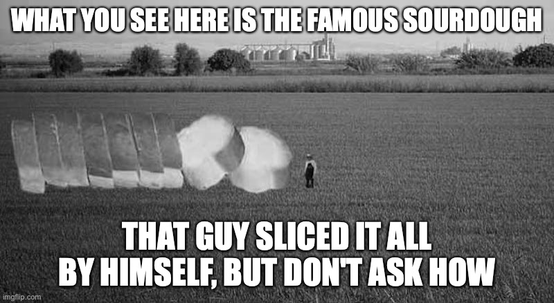 Giant Bread Farm | WHAT YOU SEE HERE IS THE FAMOUS SOURDOUGH; THAT GUY SLICED IT ALL BY HIMSELF, BUT DON'T ASK HOW | image tagged in bread,memes | made w/ Imgflip meme maker