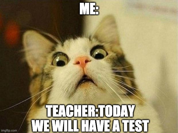 WHAT! | ME:; TEACHER:TODAY WE WILL HAVE A TEST | image tagged in memes,scared cat | made w/ Imgflip meme maker