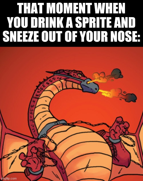 Funy | THAT MOMENT WHEN YOU DRINK A SPRITE AND SNEEZE OUT OF YOUR NOSE: | image tagged in sprite,wings of fire,wanna sprite cranberry | made w/ Imgflip meme maker