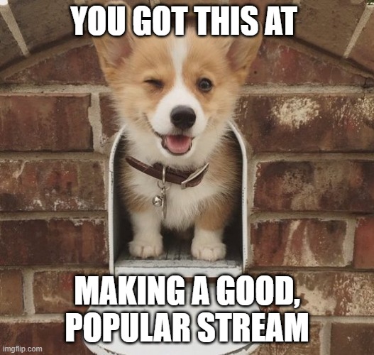 you got this Corgi | YOU GOT THIS AT; MAKING A GOOD, POPULAR STREAM | image tagged in you got this corgi | made w/ Imgflip meme maker