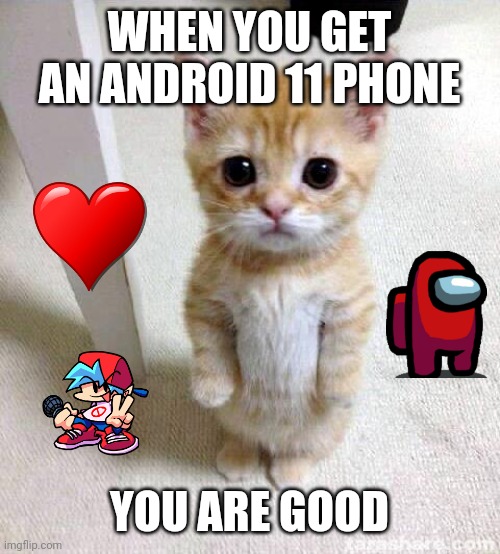 Cute Cat | WHEN YOU GET AN ANDROID 11 PHONE; YOU ARE GOOD | image tagged in memes,cute cat | made w/ Imgflip meme maker