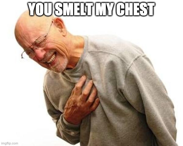 chest pain | YOU SMELT MY CHEST | image tagged in chest pain | made w/ Imgflip meme maker