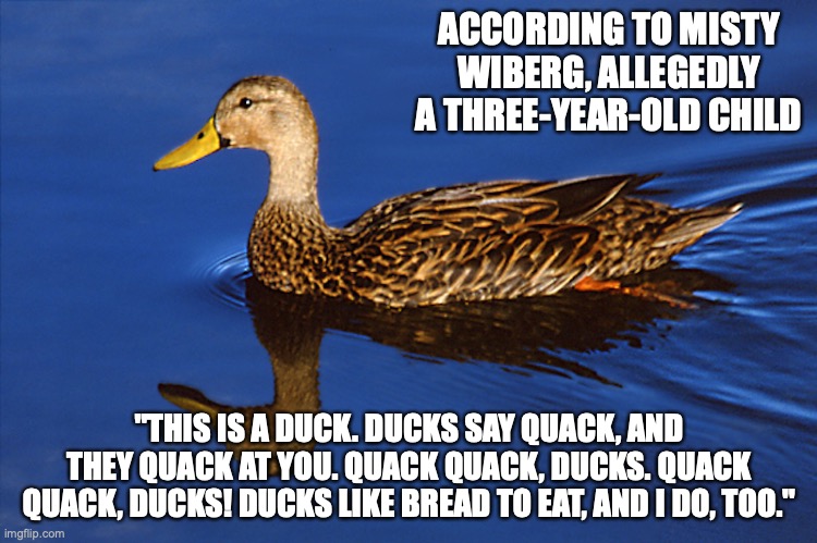 Dutch Duck | ACCORDING TO MISTY WIBERG, ALLEGEDLY A THREE-YEAR-OLD CHILD; "THIS IS A DUCK. DUCKS SAY QUACK, AND THEY QUACK AT YOU. QUACK QUACK, DUCKS. QUACK QUACK, DUCKS! DUCKS LIKE BREAD TO EAT, AND I DO, TOO." | image tagged in duck,memes | made w/ Imgflip meme maker