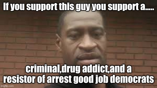 If you support this guy you support a..... criminal,drug addict,and a resistor of arrest good job democrats | image tagged in riots,george floyd | made w/ Imgflip meme maker