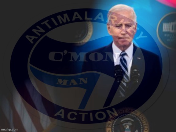 Joe Biden solemn antimalarkey action Blank Meme Template