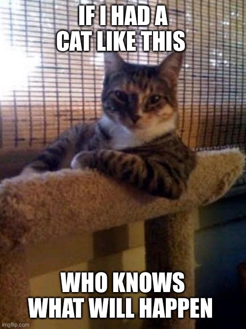 The Most Interesting Cat In The World | IF I HAD A CAT LIKE THIS; WHO KNOWS WHAT WILL HAPPEN | image tagged in memes,the most interesting cat in the world | made w/ Imgflip meme maker