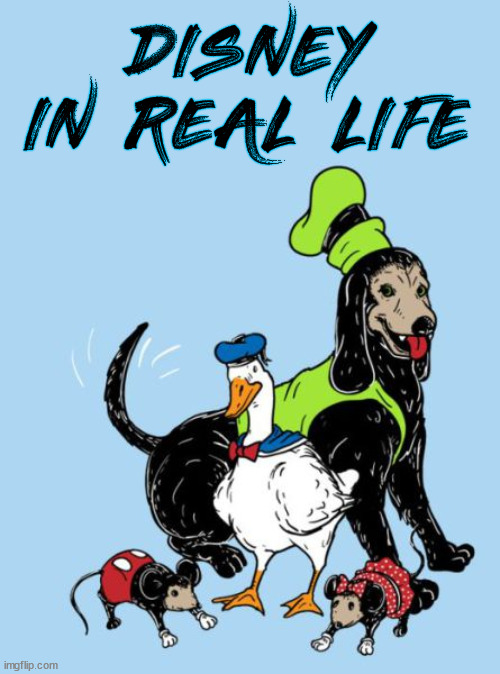 Woomy note: why though | DISNEY IN REAL LIFE | image tagged in comics/cartoons | made w/ Imgflip meme maker