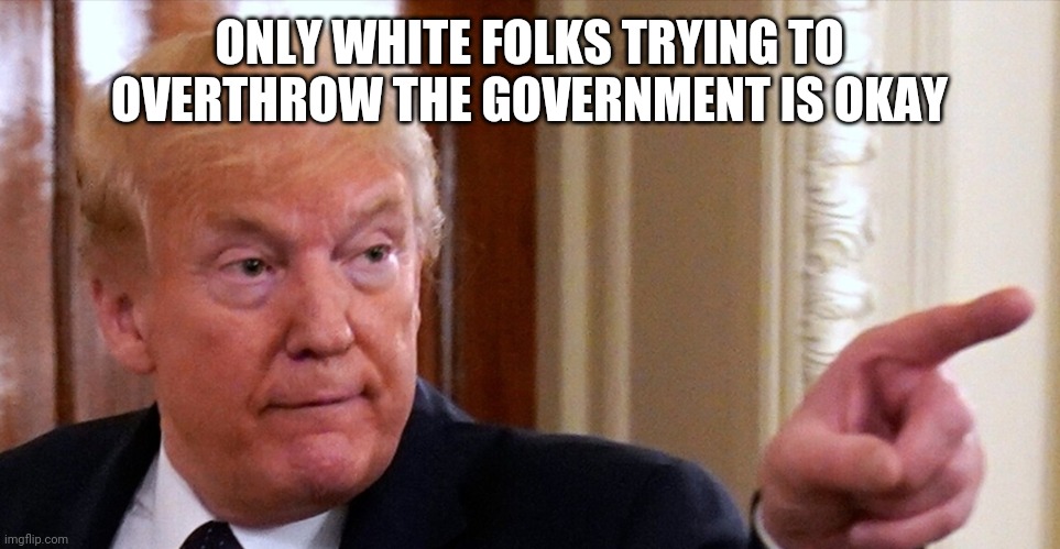 Trump pointing | ONLY WHITE FOLKS TRYING TO OVERTHROW THE GOVERNMENT IS OKAY | image tagged in trump pointing | made w/ Imgflip meme maker