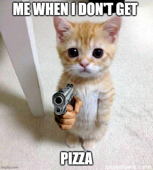 Pizza cats | ME WHEN I DON'T GET; PIZZA | image tagged in memes,cute cat | made w/ Imgflip meme maker