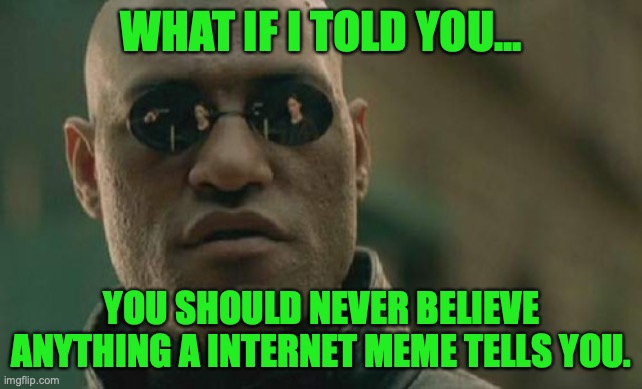 Matrix Morpheus Meme | WHAT IF I TOLD YOU... YOU SHOULD NEVER BELIEVE ANYTHING A INTERNET MEME TELLS YOU. | image tagged in memes,matrix morpheus | made w/ Imgflip meme maker