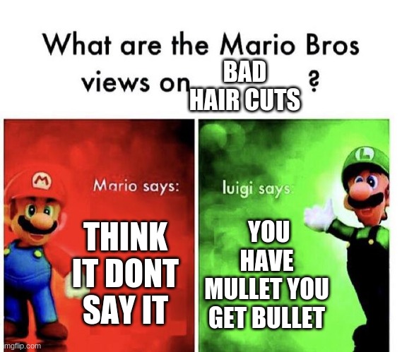 Mario Bros Views |  BAD HAIR CUTS; THINK IT DONT SAY IT; YOU HAVE MULLET YOU GET BULLET | image tagged in mario bros views | made w/ Imgflip meme maker