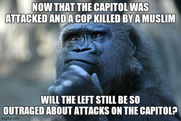 Yeah, no. | NOW THAT THE CAPITOL WAS ATTACKED AND A COP KILLED BY A MUSLIM; WILL THE LEFT STILL BE SO OUTRAGED ABOUT ATTACKS ON THE CAPITOL? | image tagged in deep thoughts,leftists,radical islam,kylie minogue is a slampig | made w/ Imgflip meme maker