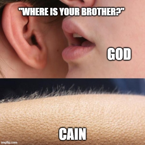 Whisper and Goosebumps | "WHERE IS YOUR BROTHER?"; GOD; CAIN | image tagged in whisper and goosebumps,cain and abel | made w/ Imgflip meme maker