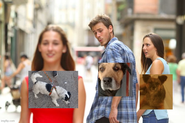 Distracted Boyfriend Meme | image tagged in memes,distracted boyfriend | made w/ Imgflip meme maker