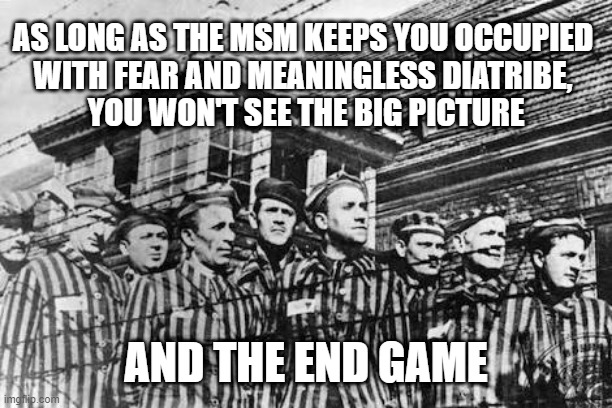 MSM Fear-Mongering and the End Game | AS LONG AS THE MSM KEEPS YOU OCCUPIED 
WITH FEAR AND MEANINGLESS DIATRIBE, 
YOU WON'T SEE THE BIG PICTURE; AND THE END GAME | image tagged in concentration camp | made w/ Imgflip meme maker