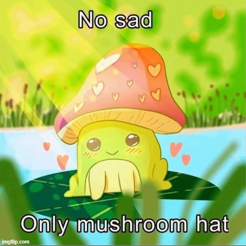 image tagged in no,sad,only,mushroom,hat | made w/ Imgflip meme maker