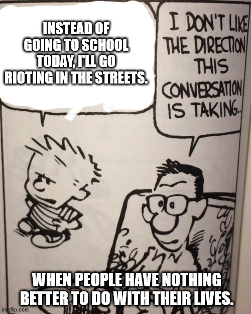 I Don't Like The Direction This Conversation Is Taking... | INSTEAD OF GOING TO SCHOOL TODAY, I'LL GO RIOTING IN THE STREETS. WHEN PEOPLE HAVE NOTHING BETTER TO DO WITH THEIR LIVES. | image tagged in i don't like the direction this conversation is taking | made w/ Imgflip meme maker