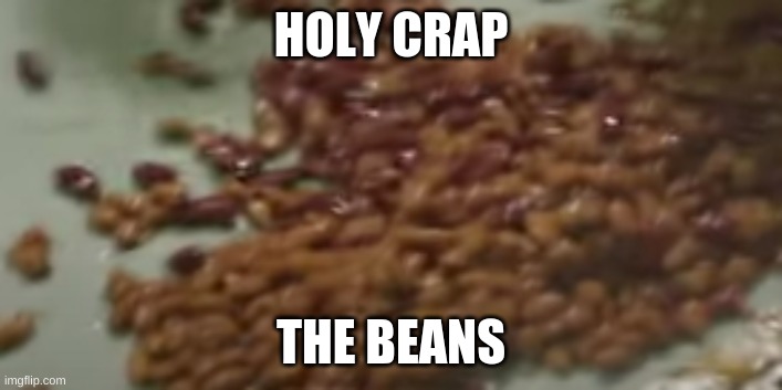 beans | HOLY CRAP; THE BEANS | image tagged in beans,memes | made w/ Imgflip meme maker
