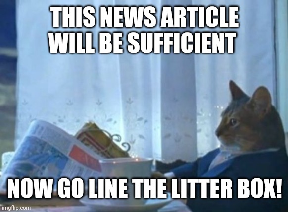 I Should Buy A Boat Cat Meme | THIS NEWS ARTICLE WILL BE SUFFICIENT; NOW GO LINE THE LITTER BOX! | image tagged in memes,i should buy a boat cat | made w/ Imgflip meme maker