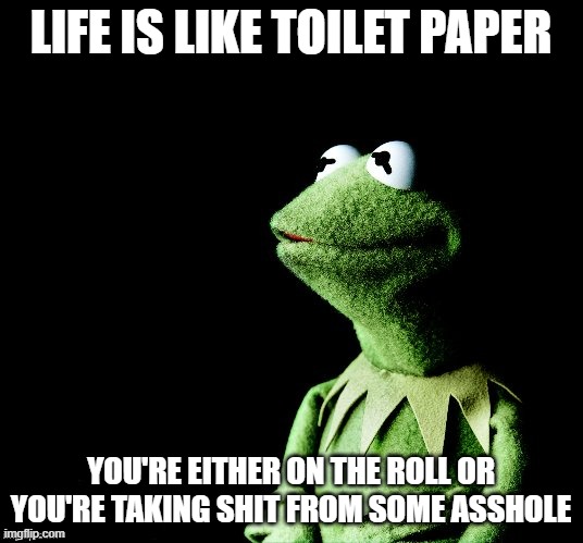 Contemplative Kermit | LIFE IS LIKE TOILET PAPER; YOU'RE EITHER ON THE ROLL OR YOU'RE TAKING SHIT FROM SOME ASSHOLE | image tagged in contemplative kermit | made w/ Imgflip meme maker