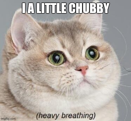 Heavy Breathing Cat Meme | I A LITTLE CHUBBY | image tagged in memes,heavy breathing cat | made w/ Imgflip meme maker