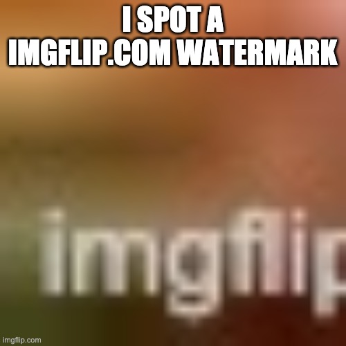 I SPOT A IMGFLIP.COM WATERMARK | made w/ Imgflip meme maker