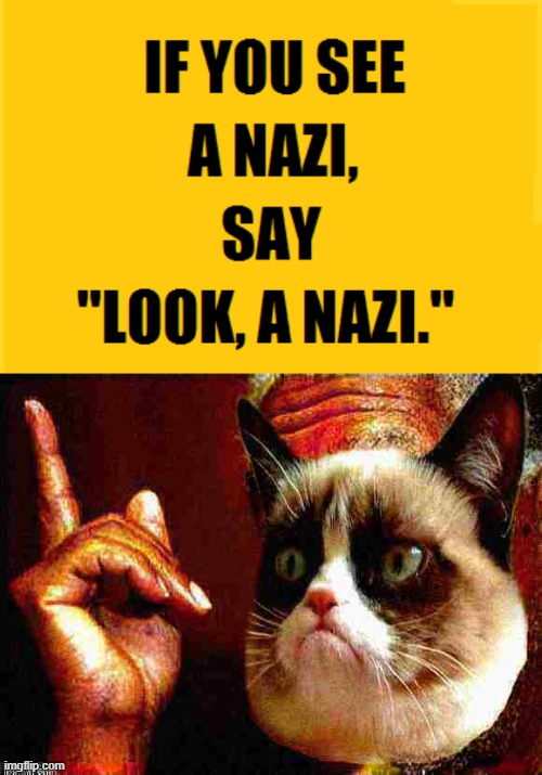 image tagged in if you see a nazi,morgan freeman cat he's right you know deep-fried 1 | made w/ Imgflip meme maker