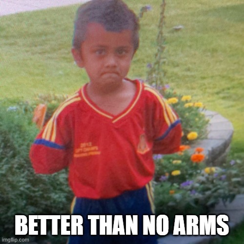 No arms Dasqa | BETTER THAN NO ARMS | image tagged in no arms dasqa | made w/ Imgflip meme maker