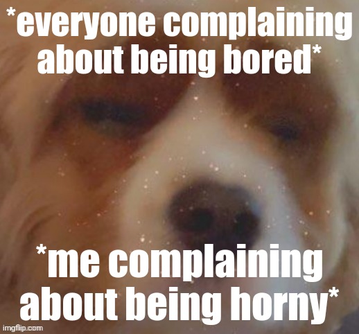 Aeugh. -narwhal | *everyone complaining about being bored*; *me complaining about being horny* | image tagged in narwhal doge e acc | made w/ Imgflip meme maker