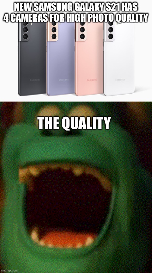 Samsung Photos | NEW SAMSUNG GALAXY S21 HAS 4 CAMERAS FOR HIGH PHOTO QUALITY; THE QUALITY | image tagged in samsung | made w/ Imgflip meme maker