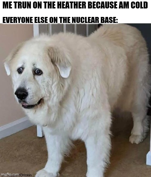 scared dog | ME TRUN ON THE HEATHER BECAUSE AM COLD; EVERYONE ELSE ON THE NUCLEAR BASE: | image tagged in scared dog | made w/ Imgflip meme maker