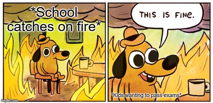 This Is Fine | *School catches on fire*; *Kids wanting to pass exams* | image tagged in memes,this is fine | made w/ Imgflip meme maker