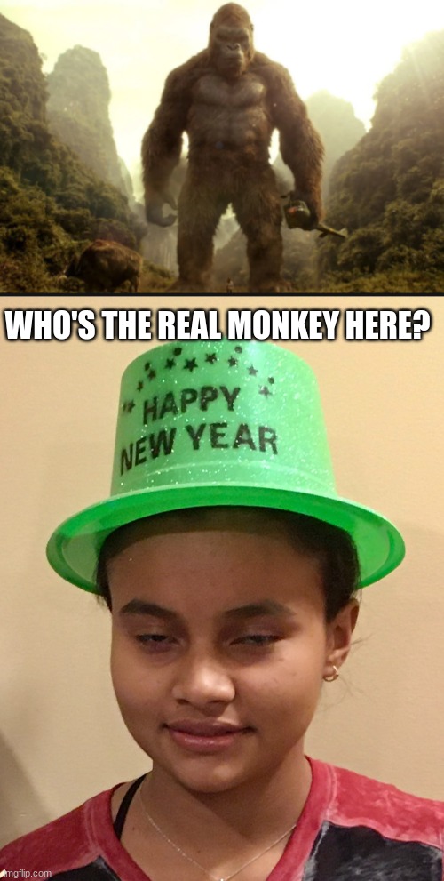 Who's the real monkey here? | WHO'S THE REAL MONKEY HERE? | image tagged in funny,hilarious memes,joke,monkeys,viral meme,viral | made w/ Imgflip meme maker