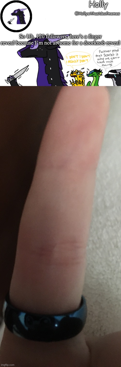 So Uh, 120 followers, here’s a finger reveal because I’m not at home for a doorknob reveal | image tagged in holly announcement wings of fire,hey look i have a finger | made w/ Imgflip meme maker