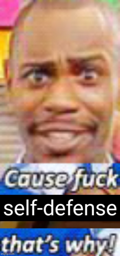 image tagged in officer i drop kicked that child in self-defense | made w/ Imgflip meme maker