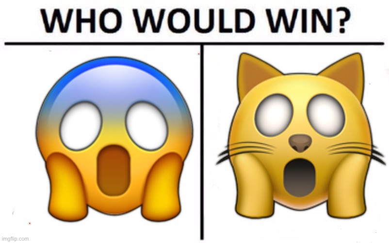 Cat vs human | 🙀; 😱 | image tagged in memes,who would win,funny,funny memes,emoji | made w/ Imgflip meme maker