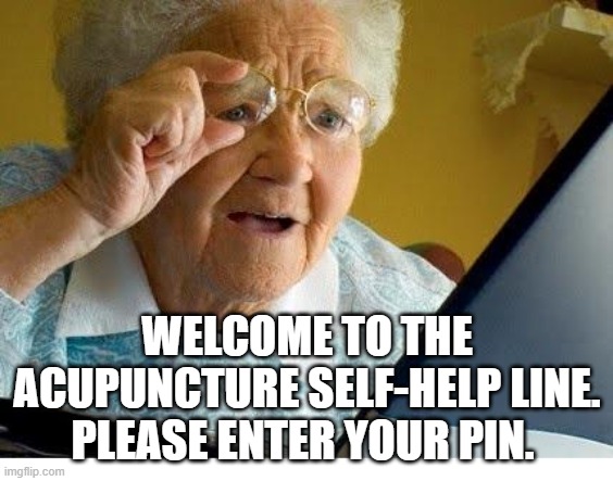 old lady at computer |  WELCOME TO THE ACUPUNCTURE SELF-HELP LINE.
PLEASE ENTER YOUR PIN. | image tagged in old lady at computer | made w/ Imgflip meme maker