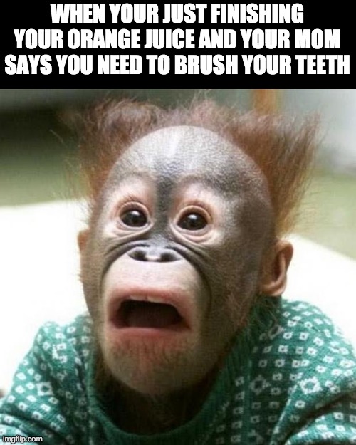 Why!!!!!!!!!!!!!! |  WHEN YOUR JUST FINISHING YOUR ORANGE JUICE AND YOUR MOM SAYS YOU NEED TO BRUSH YOUR TEETH | image tagged in shocked monkey,mom,memes,oh no | made w/ Imgflip meme maker
