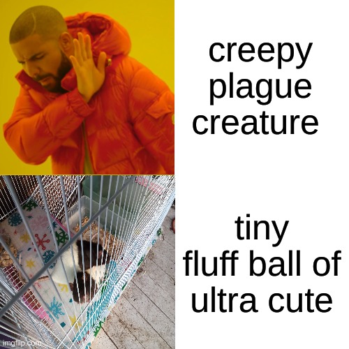 my baby Ratatouille | creepy plague creature; tiny fluff ball of ultra cute | image tagged in memes,drake hotline bling,rats | made w/ Imgflip meme maker